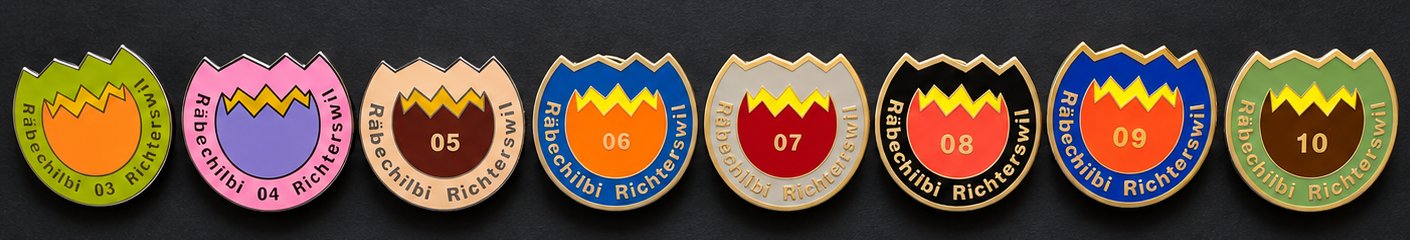 Räbechilbi Richterswil: Pins 2003 bis 2010