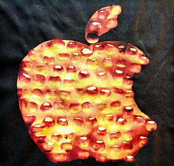 Apfel, Räbechilbi Richterswil 2013 (Mier lönd üs nöd ver-apple, 5. Klasse, P. Eigenmann)