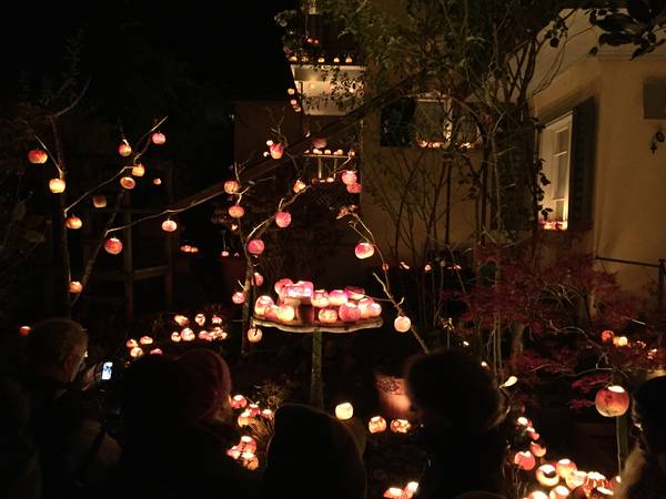 Räbengarten, Räbechilbi Richterswil 2018 (Dorf, Dekorierte Gärten)