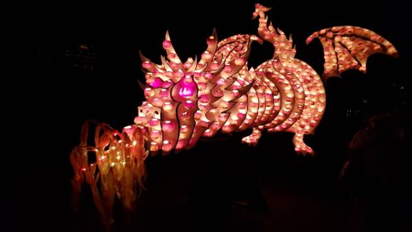 Drache – Potpourris.ch, Räbechilbi Richterswil 2019