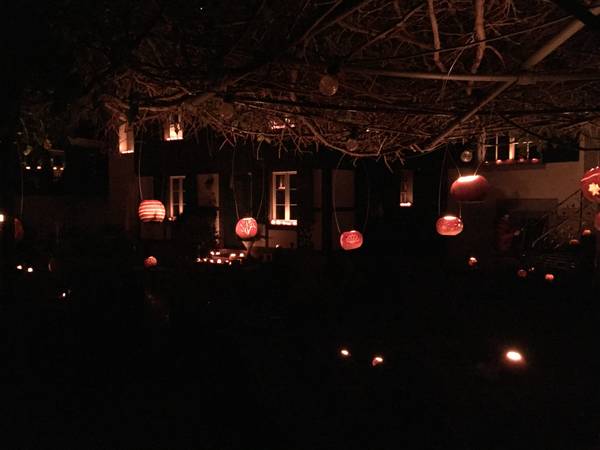 Räben unter der Pergola, Räbechilbi Richterswil 2019 (Dorf, Dekorierte Gärten)