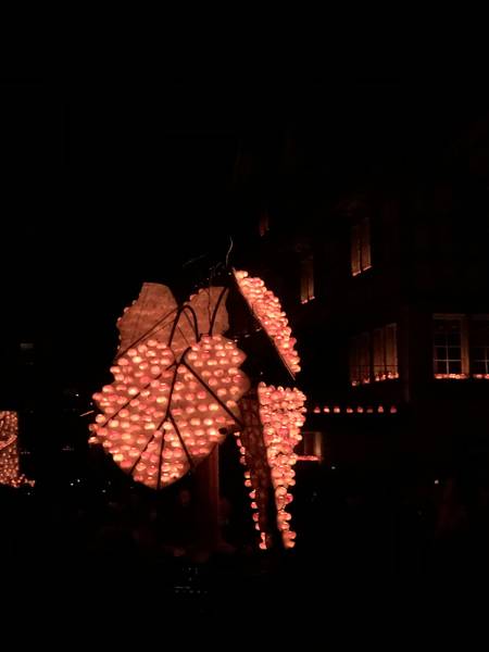 Leben mit Jesus trägt Früchte – viva kirche richterswil samstagern, Räbechilbi Richterswil 2019 (Weinblatt, Trauben)