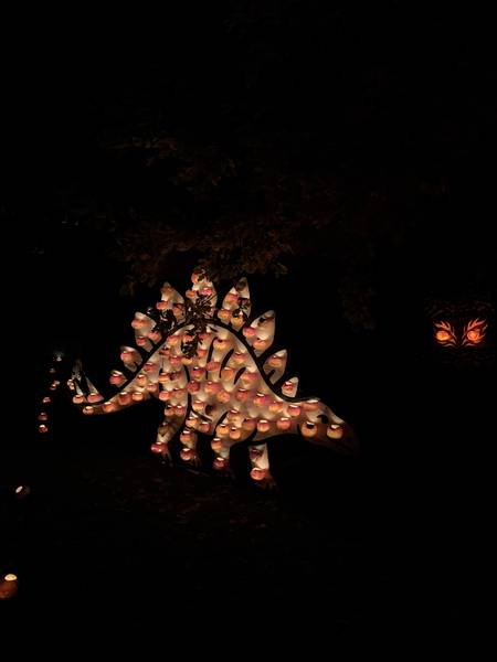 Jurassic Richti – Potpourris.ch, Räbechilbi Richterswil 2025 (Dinosaurier, Stegosaurus)